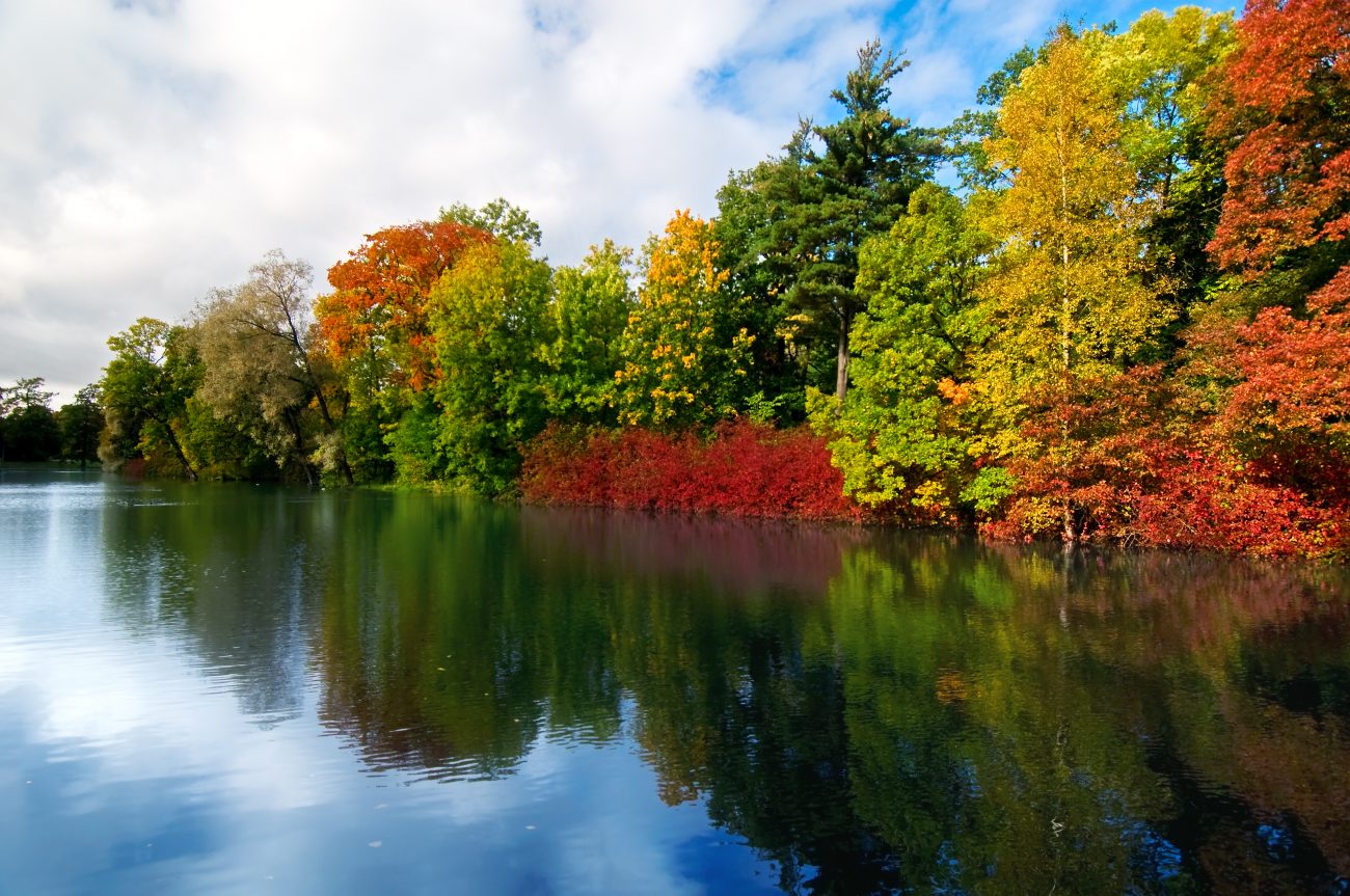 Seastreak Fall Foliage Cruise