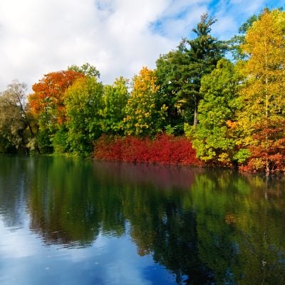 Seastreak Fall Foliage Cruise